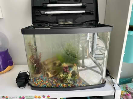 Photo of free 40L tank - empty (Bath (BA2 1 - Southdown)) #3