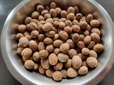 Photo of free Whole Nutmegs - Not for consumption (North City NR3) #1