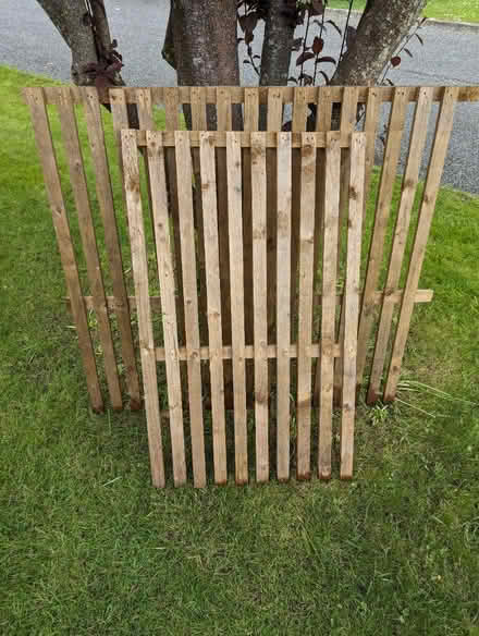 Photo of free Trellis / fence offcuts (Ifold, RH14) #1