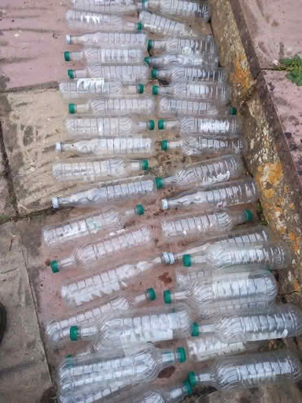 Photo of Lots of 1 litre (3"/ 75 mm diameter) drinks bottles with lids (Far Green GL11) #1