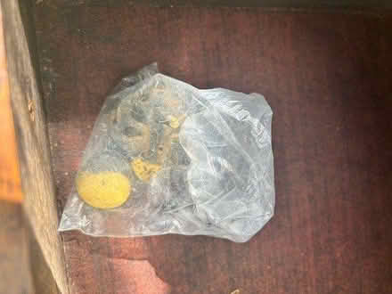 Photo of free Vintage Edwardian bookcase/ dinner (Woodley RG5) #4