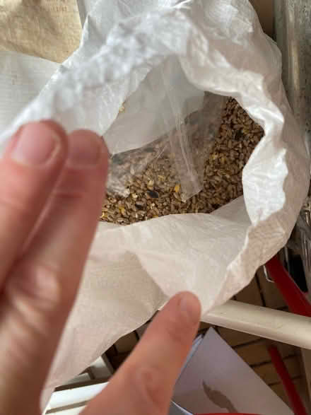 Photo of free Approx 10-15kg of bird feed (N16) #1