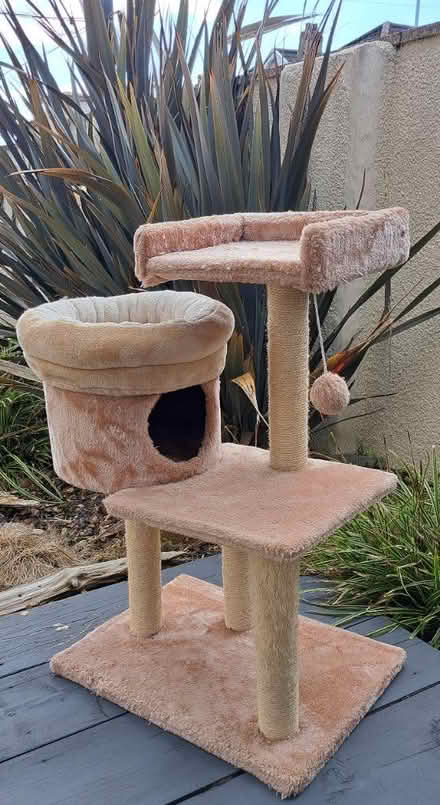 Photo of free Cat tree (Weston-super-Mare) #1