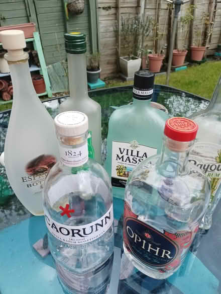 Photo of free empty glass bottles (RG2 south Reading) #1