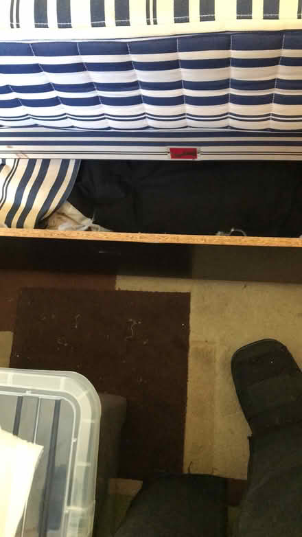 Photo of free Single divan bed (Aldershot) #4