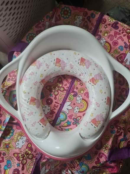 Photo of free Childrens toilet seat (Little Salkeld CA10) #1