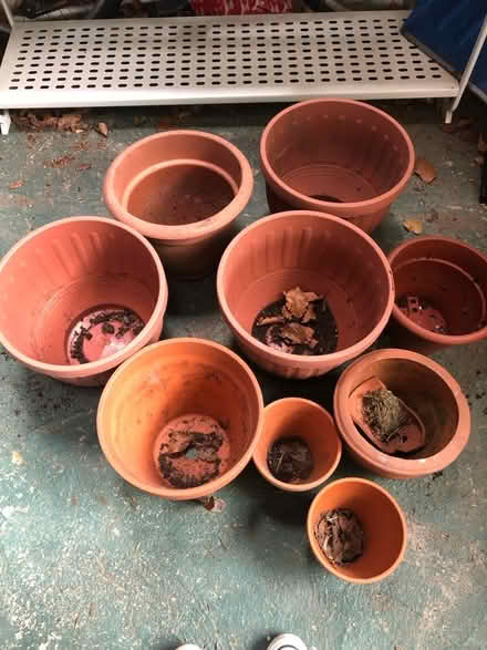 Photo of free Selection of plant pots (Gomersal BD19) #1