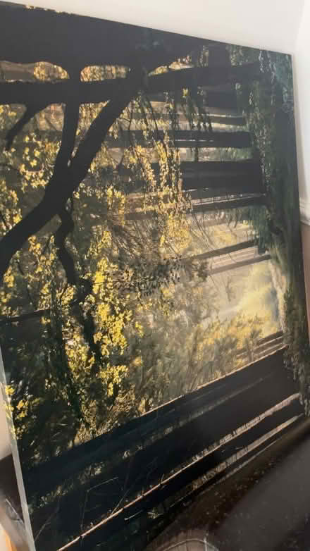 Photo of free Forrest canvas (Filwood Ward BS4) #1