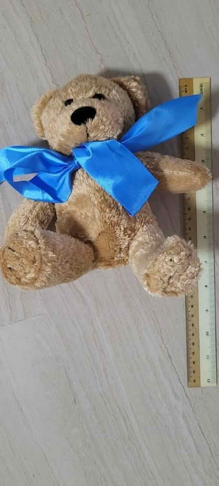 Photo of free Softoy teddy (Hougang n Kovan) #1