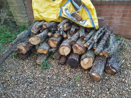 Photo of free Pear wood (Palmers Green N13) #1