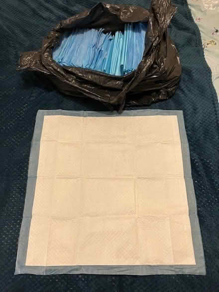 Photo of free Puppy pads (Seaside BN23) #1