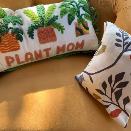 Photo of free 2 decorative Cushions (World's End RH15) #1