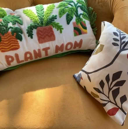 Photo of free 2 decorative Cushions (World's End RH15) #1
