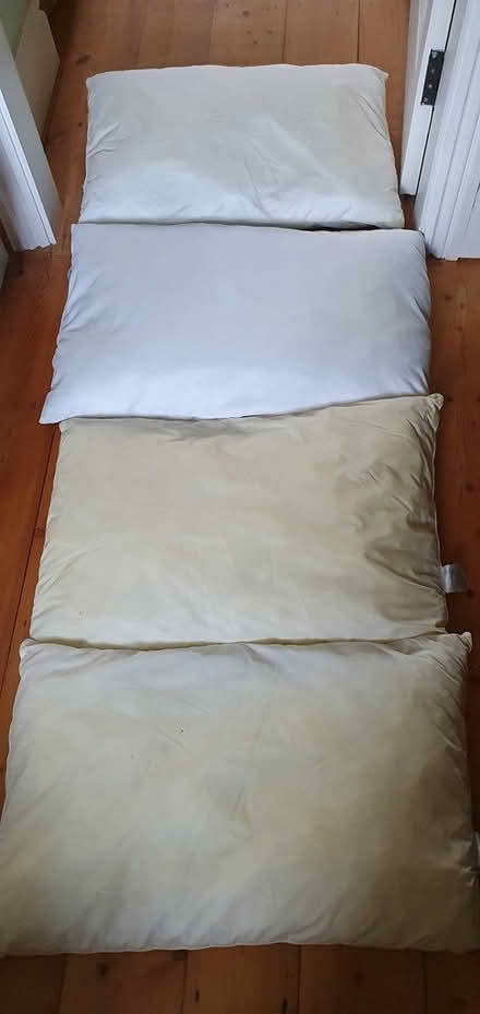 Photo of free Pillows (WR14 Cowleigh Rd) #1