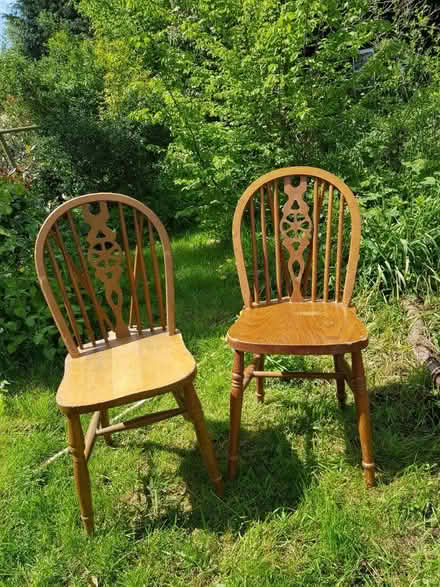 Photo of free Two kitchen chairs (Braughing SG11) #1