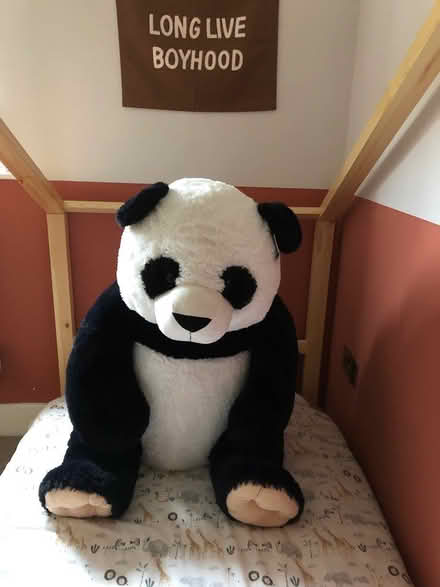 Photo of free Large panda (Formby L37) #1