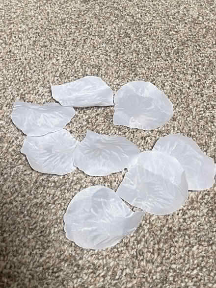 Photo of free White plastic rose petals (Leighton Buzzard LU7) #1