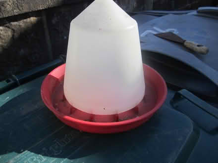Photo of free Chicken feeder (Portslade) #1
