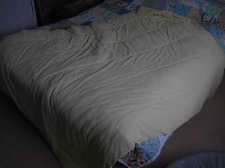 Photo of free Single duvet (Longley Green WR13) #1