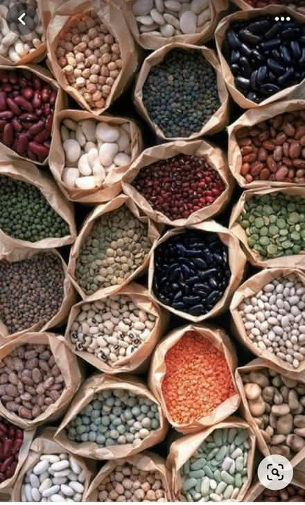 Photo of Edible seeds and nuts (BD7) #1