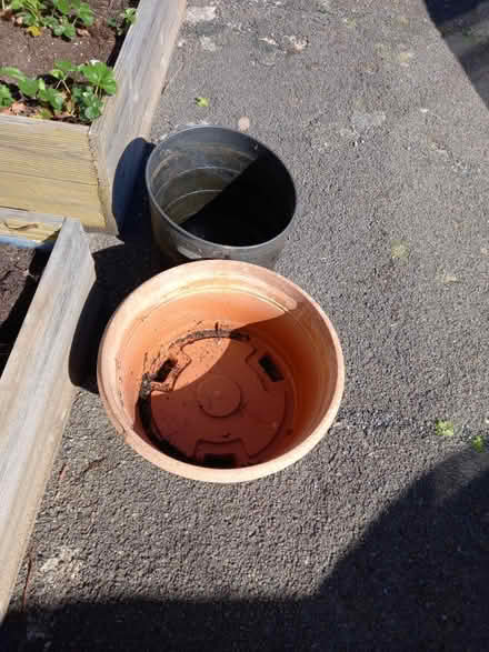 Photo of free Two large plastic planters (Exmouth (Rivermead)) #1