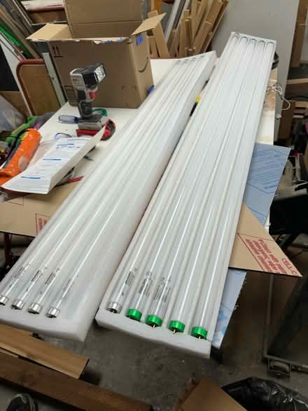 Photo of free T8 fluorescent bulbs (Mountlake Terrace) #1