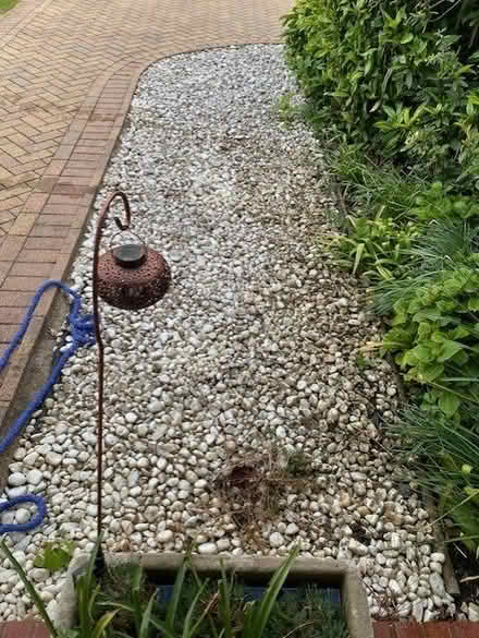 Photo of free Pebbles/Stones (windsor-maidenhead-freegle CGA SL6) #3