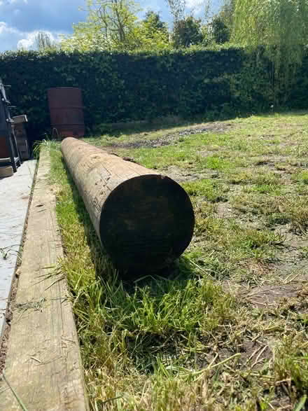 Photo of free Very big log (NG10 (Sandiacre)) #2