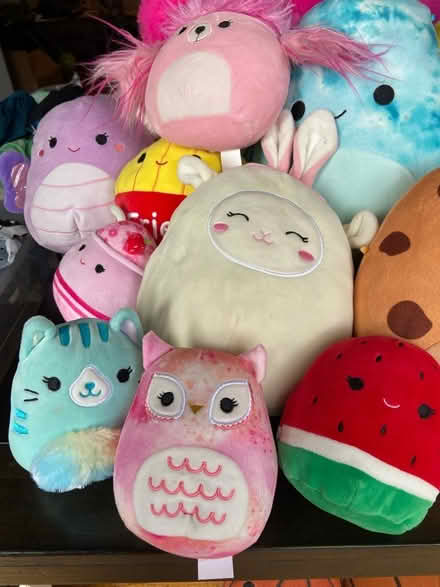 Photo of free Squishmallow Lot- All sizes (Lakewood) #4