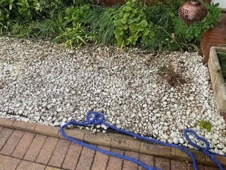 Photo of free Pebbles/Stones (windsor-maidenhead-freegle CGA SL6) #2