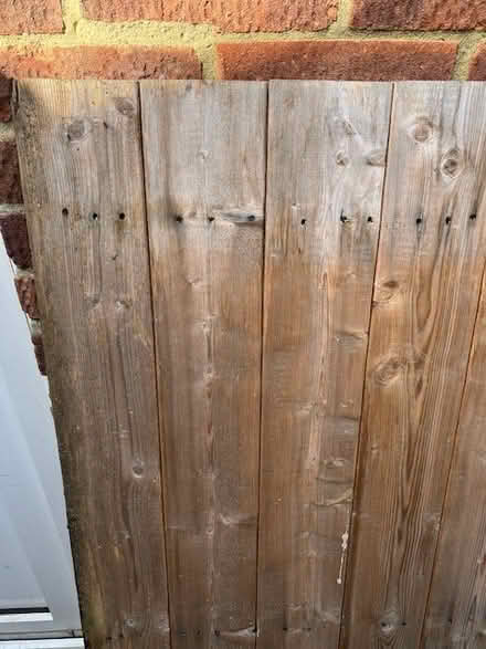 Photo of free Two wooden doors from a small garden storage shed (Seaside BN23) #4