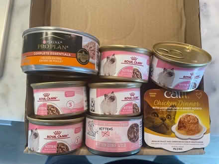 Photo of free Mixed assortment cat/kitten food (Murray Hill) #1