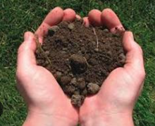 Photo of Soil / Earth For Community Area N8 (N8 7 Off Middle Lane) #1