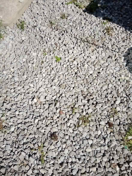 Photo of free Gravel (SY2) #1