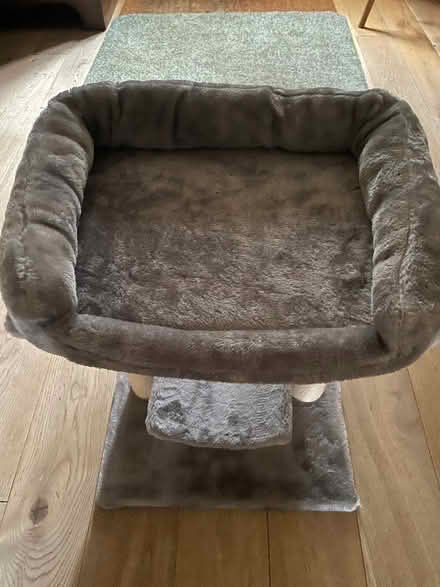 Photo of free Cat bed an scratch pole (Old Linslade LU7) #2
