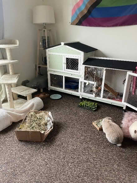 Photo of free Rabbit Hutch (Ilford IG1) #2
