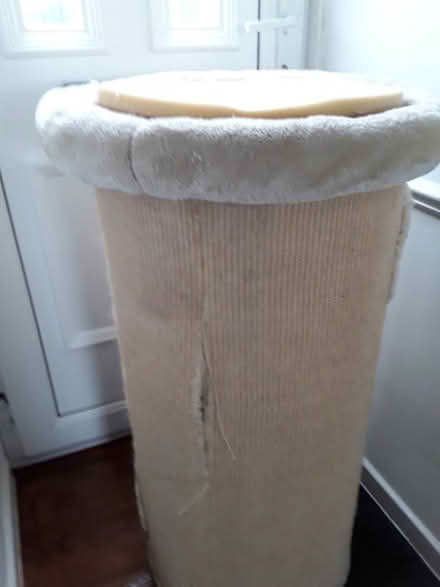 Photo of free Cat Barrel/Scratching Post (Lemington NE15) #2