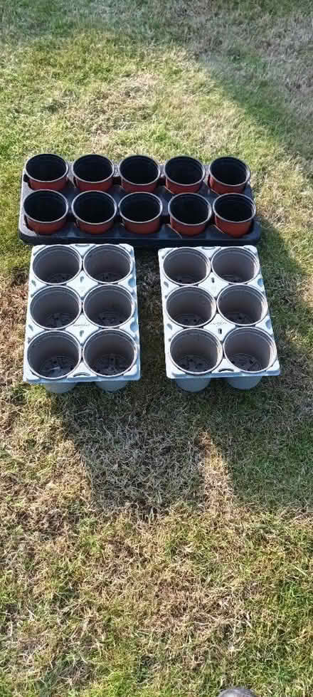 Photo of free 3 Trays plant pots (Oakwood, Derby) #1