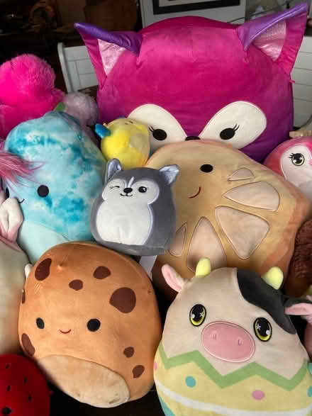 Photo of free Squishmallow Lot- All sizes (Lakewood) #3