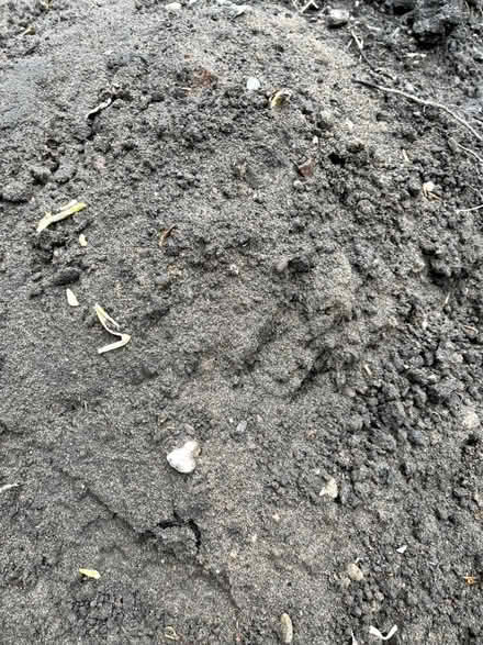 Photo of free Soil (Wem SY4) #2