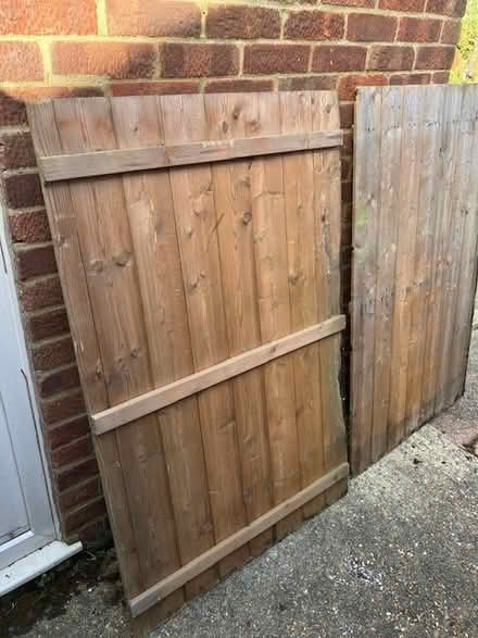 Photo of free Two wooden doors from a small garden storage shed (Seaside BN23) #2
