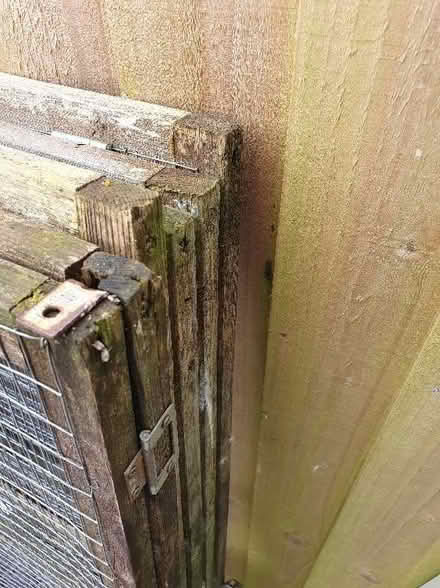 Photo of free Rabbit or Guinea pig run - for restoration or spares (Walton ST15) #2