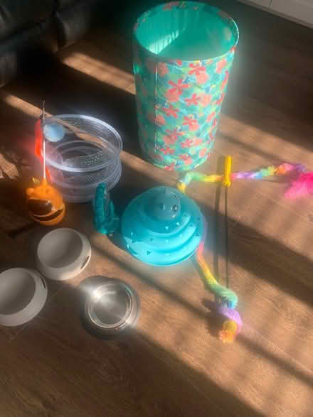 Photo of free Selection of cat toys and bowls (Harold Hill RM3) #1