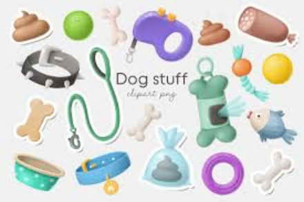 Photo of Any dog stuff gratefully received (Harton, NE34) #1