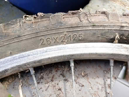 Photo of free Bicycle wheels (Lakenham NR1) #1