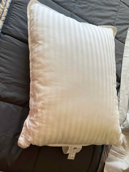 Photo of free plush pillow - great shape (downtown Edmonds) #1