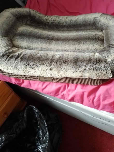 Photo of free Dog bed (The nook south shields) #1