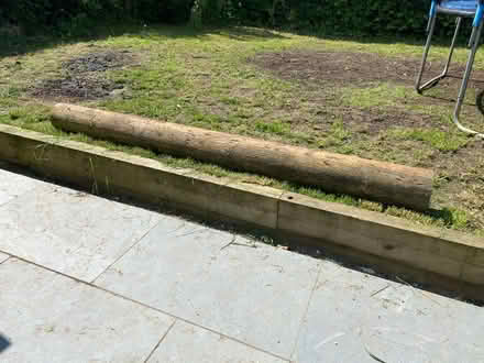 Photo of free Very big log (NG10 (Sandiacre)) #1
