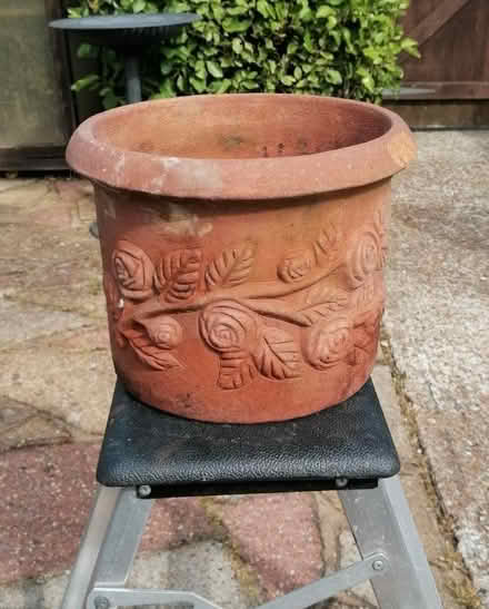 Photo of free Terracotta pot (Langney BN23) #2