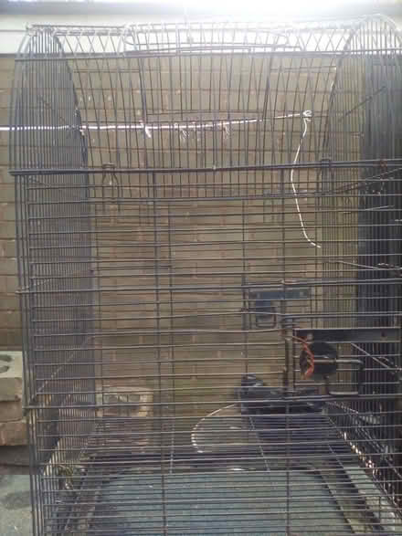 Photo of free Bird cage (Leintwardine SY7) #1